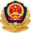 Public security record icon